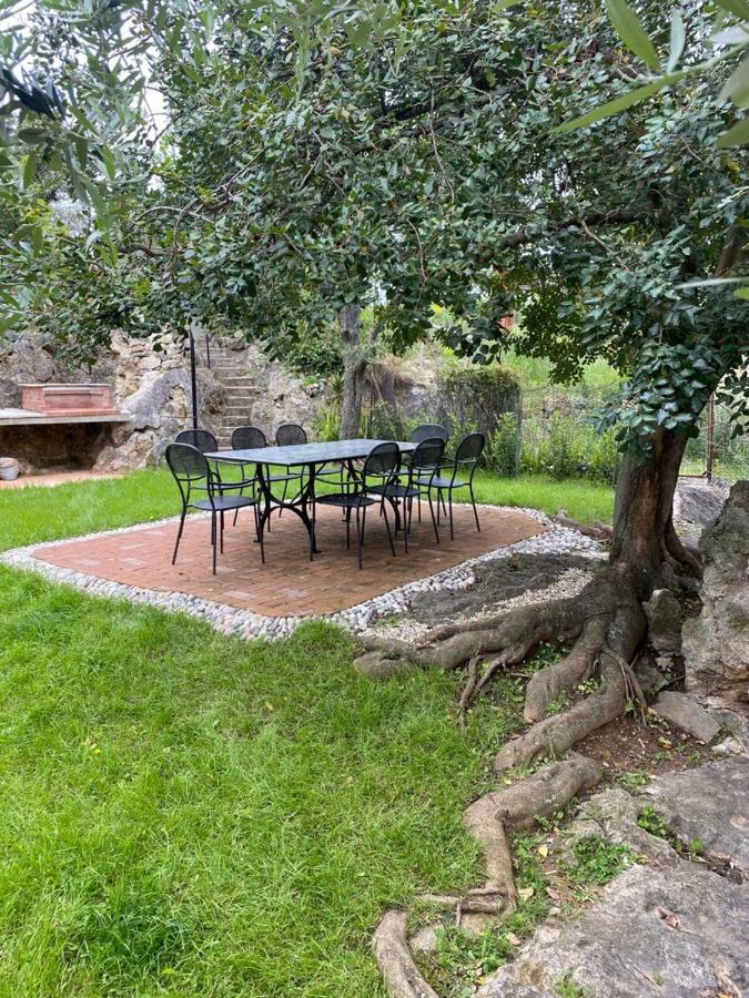Villa Paolina Ceriale - App. 4 Posti Dış mekan fotoğraf