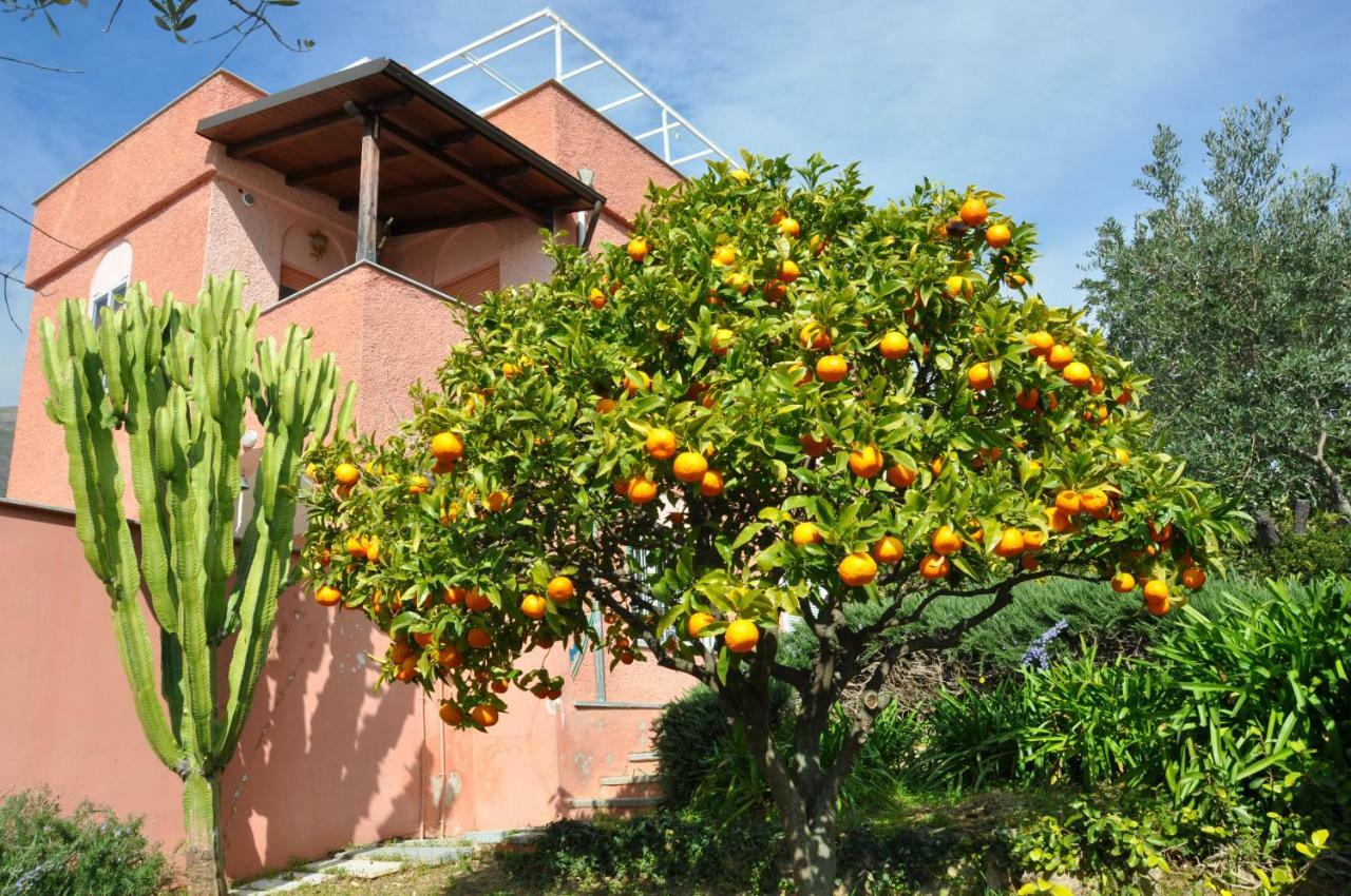 Villa Paolina Ceriale - App. 4 Posti Dış mekan fotoğraf